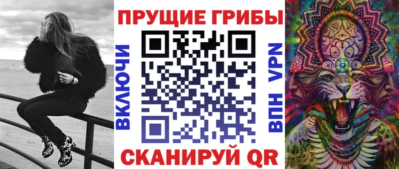 Купить где  Шлиссельбург  Галлюциногенные грибы Psilocybine cubensis 
